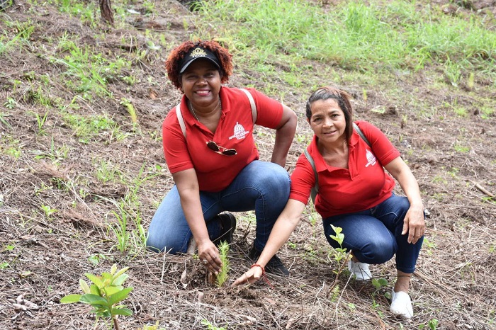 Ministerio de Trabajo participa en Plan Nacional de Reforestación