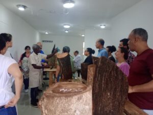 Escultura en Madera