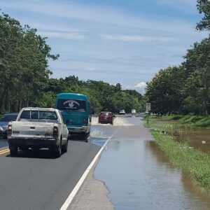 Autopista Nordeste