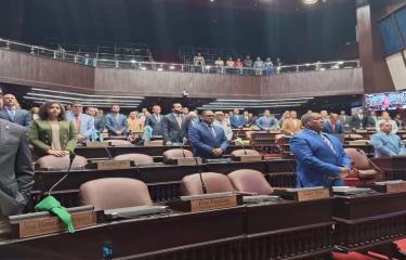 Diputados