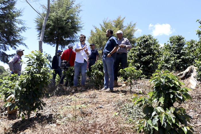 Medio Ambiente avanza en la detección de ilícitos ambientales en Manabao