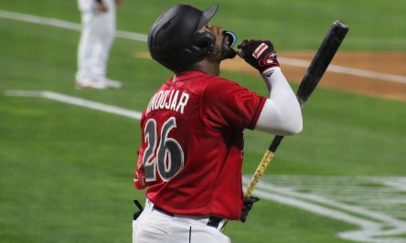 Miguel Andújar batea de 3-3 con un cuadrangular en las menores