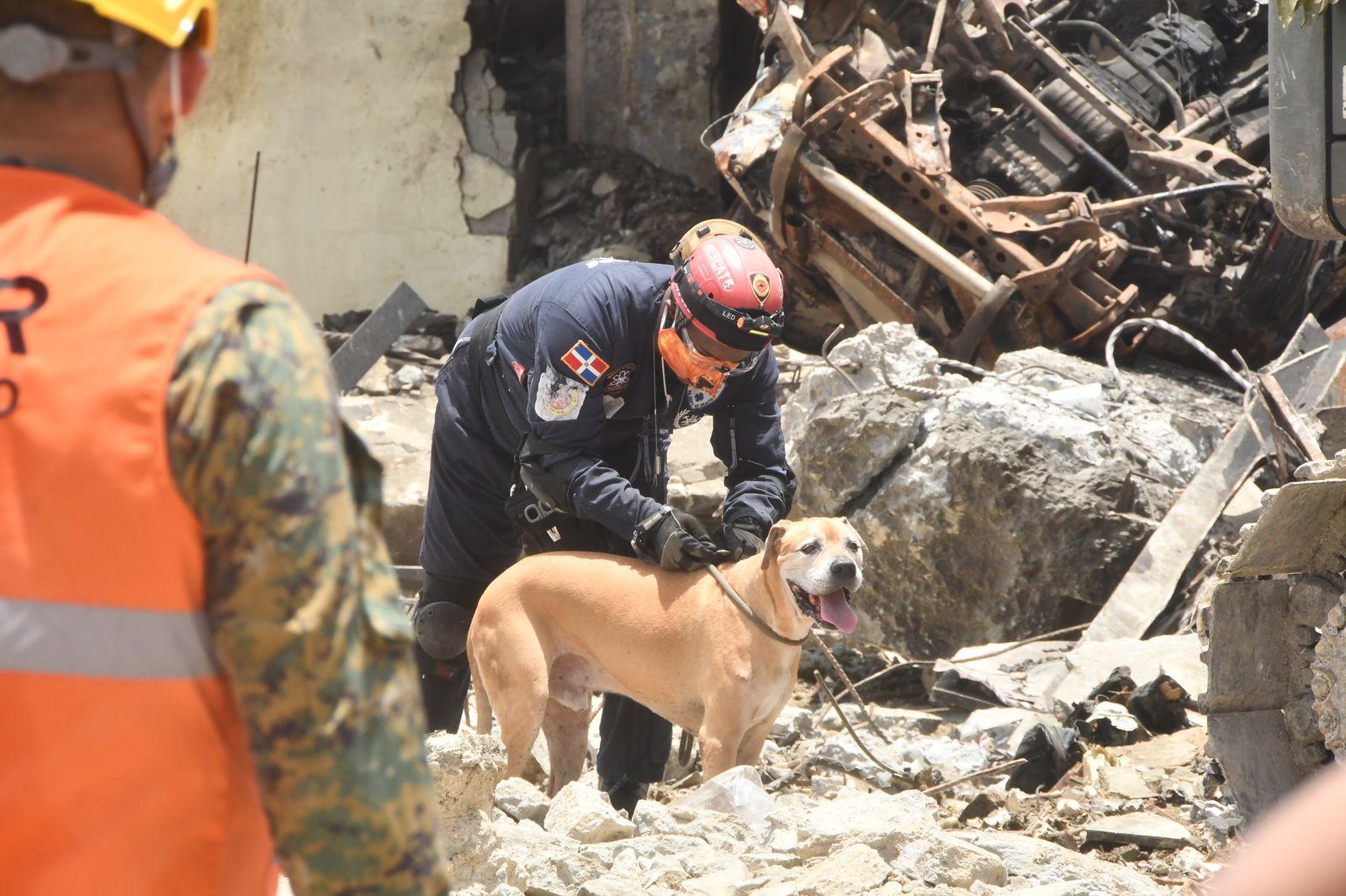 unidad canina