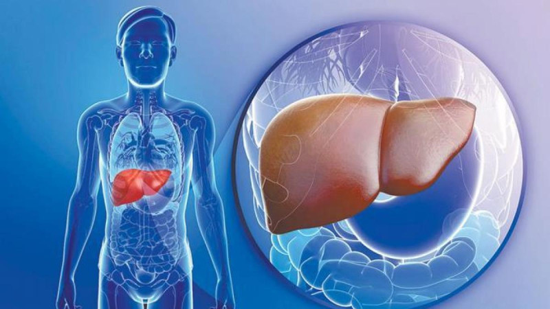 Experto advierte sobre el estigma social del cáncer de hígado: "Tradicionalmente se ha vinculado al alcoholismo"ARCHIVO/LD.
