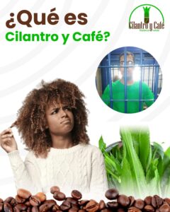 cilantro y cafe