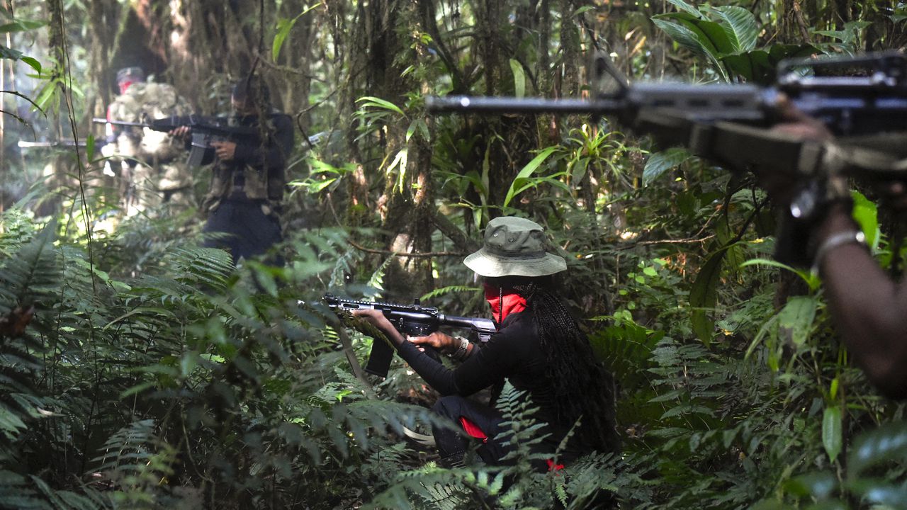 guerrillas