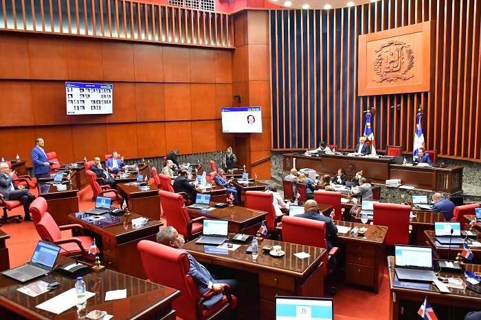 Senado conforma Comisión Especial para analizar contrato Aerodom