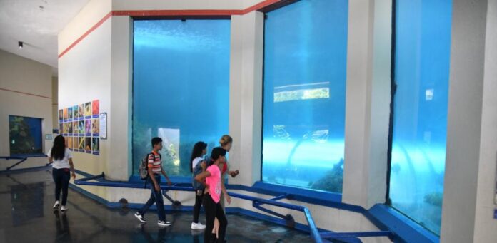 Abinader canceló a Wanda García, directora del Acuario Nacional