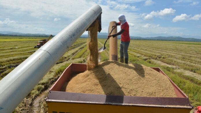 Agricultura entrega 50MM a productores de arroz