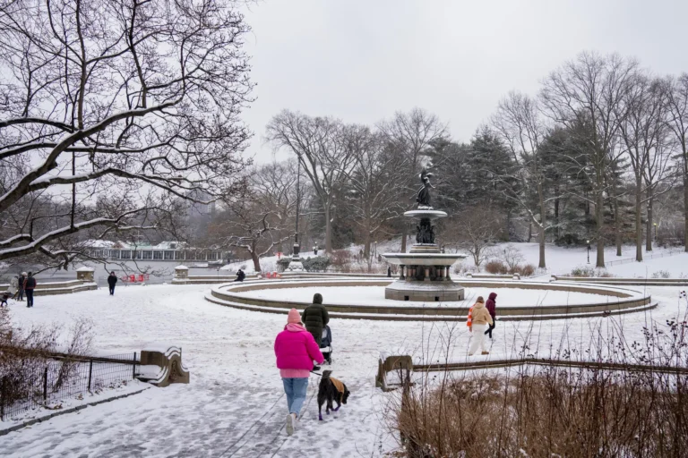 Nueva York se alista para tormenta que puede dejar hasta 20 centímetros de nieve el martes
