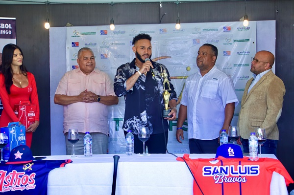 Torneo de Béisbol Superior