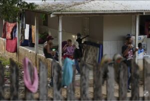 migrantes