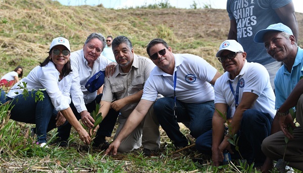reforestar cordillera Septentrional