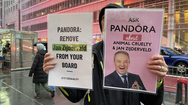 pandora