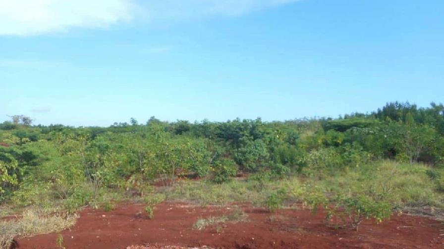 tierras raras en la Sierra de Bahoruco