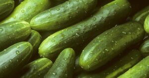 En varios Estados USA retiran pepinos por brote Salmonera