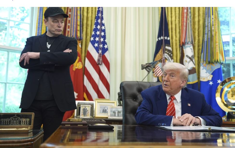 elon