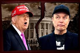 musk trump