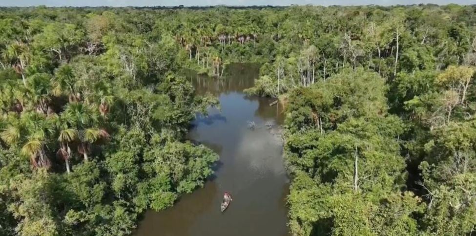 Científicos advierten debilitamiento de los “ríos voladores” podría llevar a la Amazonia a un punto crítico