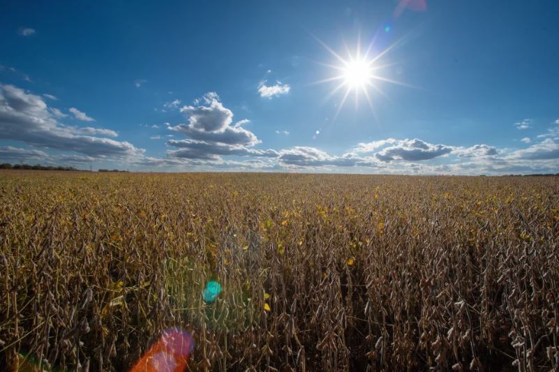 Senado aprueba resolución para revertir aranceles de Trump en todo el mundo; no entraría en vigor