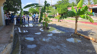Comunitarios de Vicente Noble siembran plátanos en los hoyos de sus calles