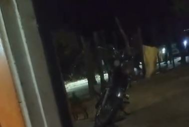Militares negocian despacho de haitianos en una finca I Video