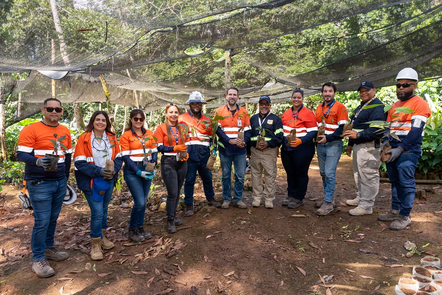 Barrick Pueblo Viejo y la Dirección de Minería impulsan jornada de reforestación en Arroyo Vuelta