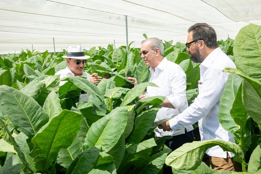 Presidente Abinader visita finca tabacalera “La Milagrosa” de Arturo Fuente en Monte Plata