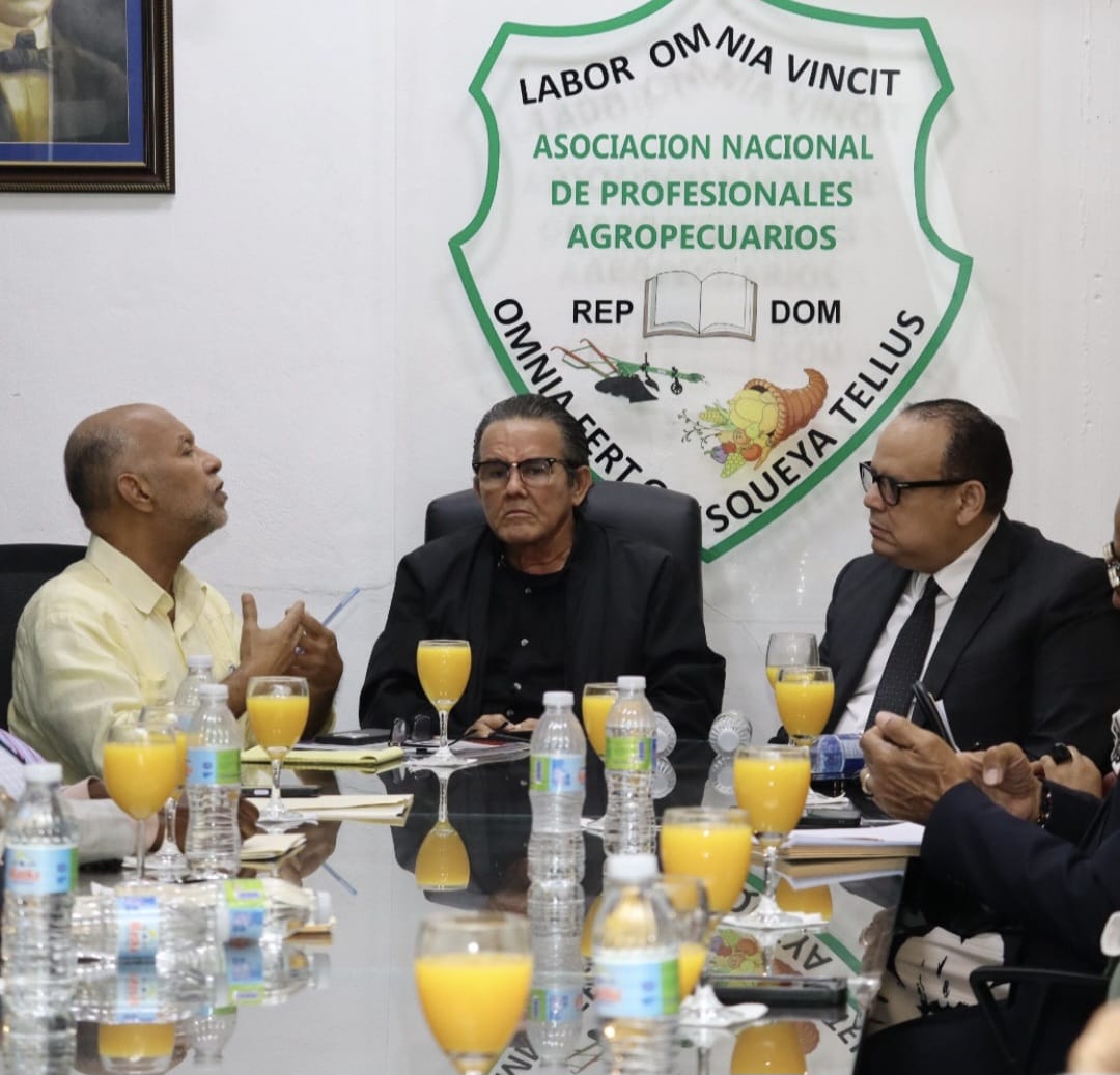 Organizaciones profesionales, populares y sindicales marcharán al Palacio Nacional