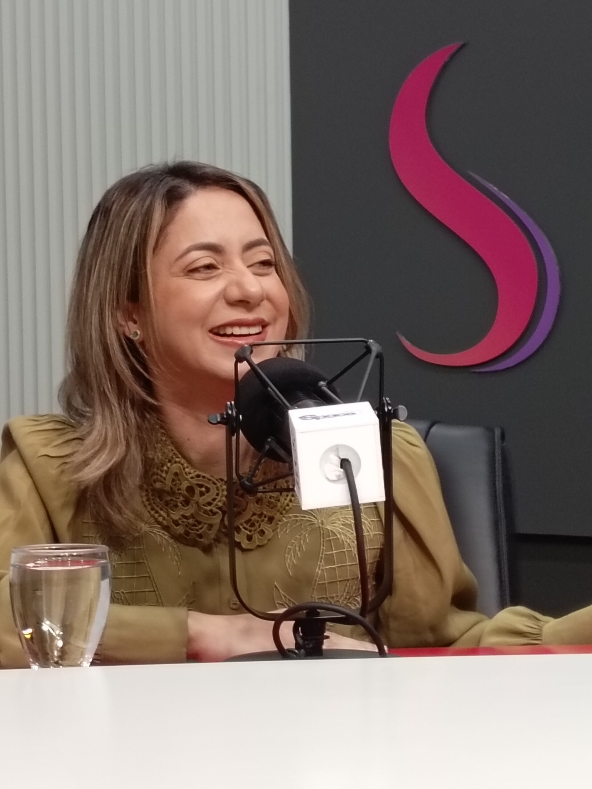 Ministra de la Mujer Impulsa Ley de Violencia contra la Mujer