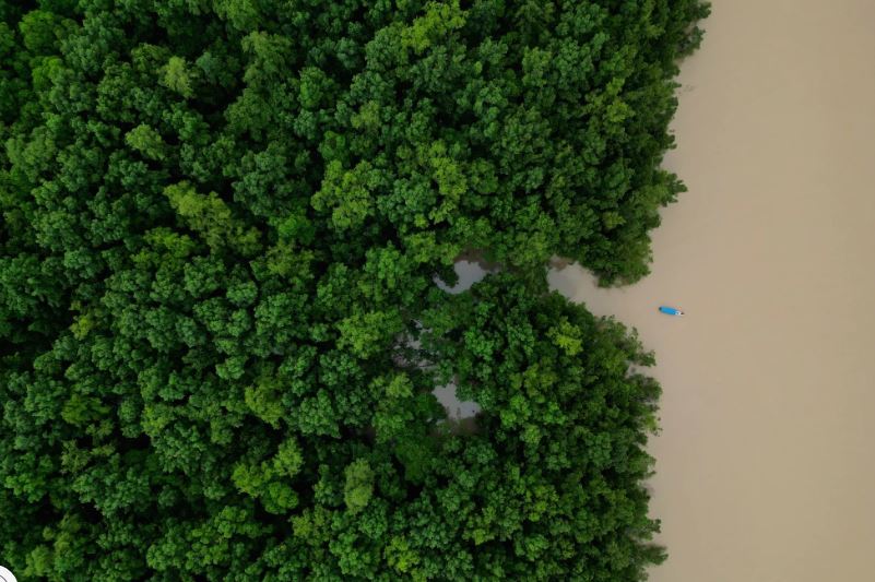 Brasil destinará 617,5 millones de dólares a inversión ecológica en la Amazonía
