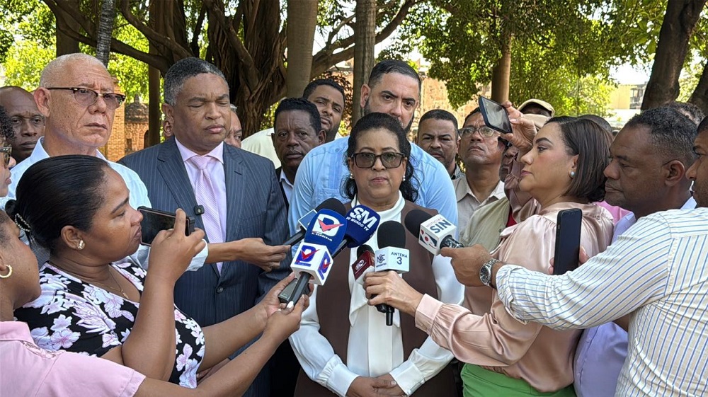 Cristina Lizardo: PLD no ha sido notificado de Plan del Gobierno para encarar crisis
