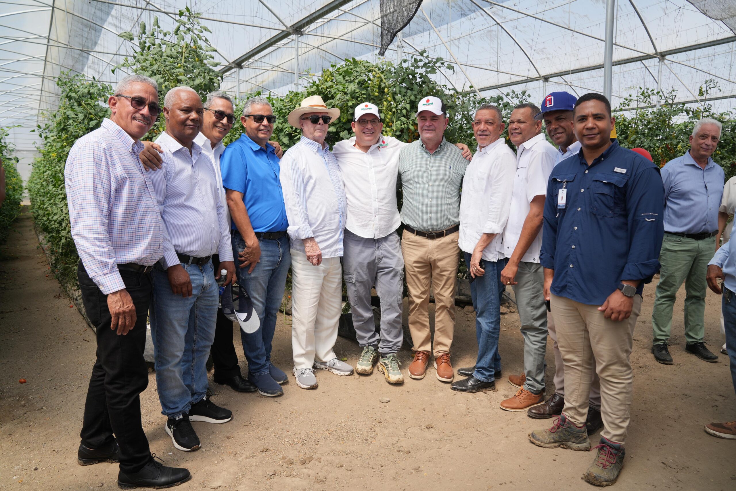 Ministro de Agricultura: RD Exportara tomate cherry hacia Estados Unidos
