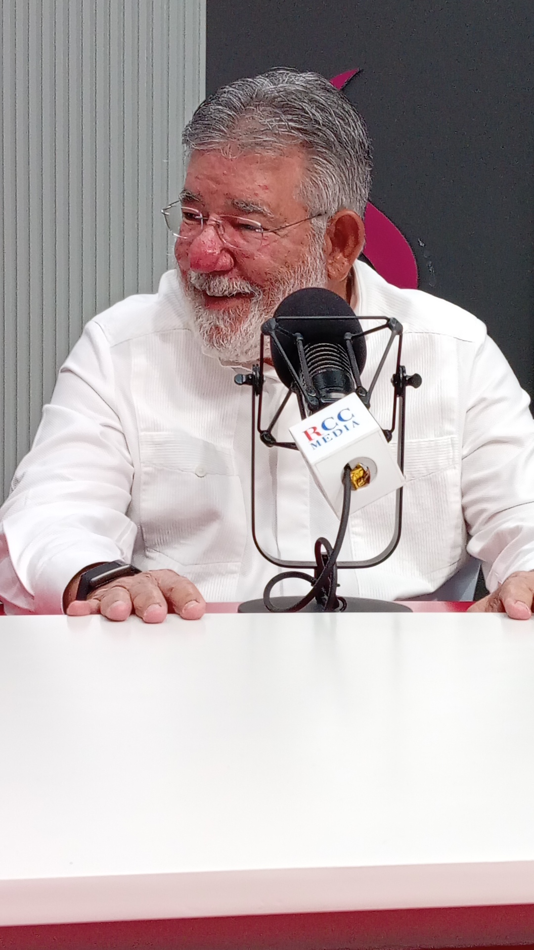 Díaz Rúa afirma que Alejandrina Germán pertenece a corriente leonelista y critica obras de Abinader