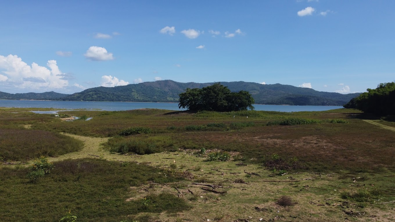 PLD conmemora este sábado el Día Mundial del Medio Ambiente