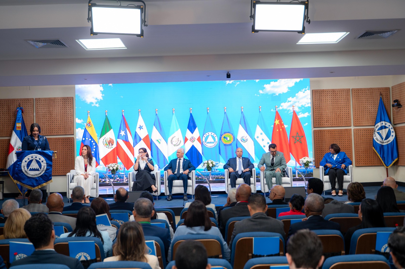 Presidente del Senado apuesta por estabilidad macro