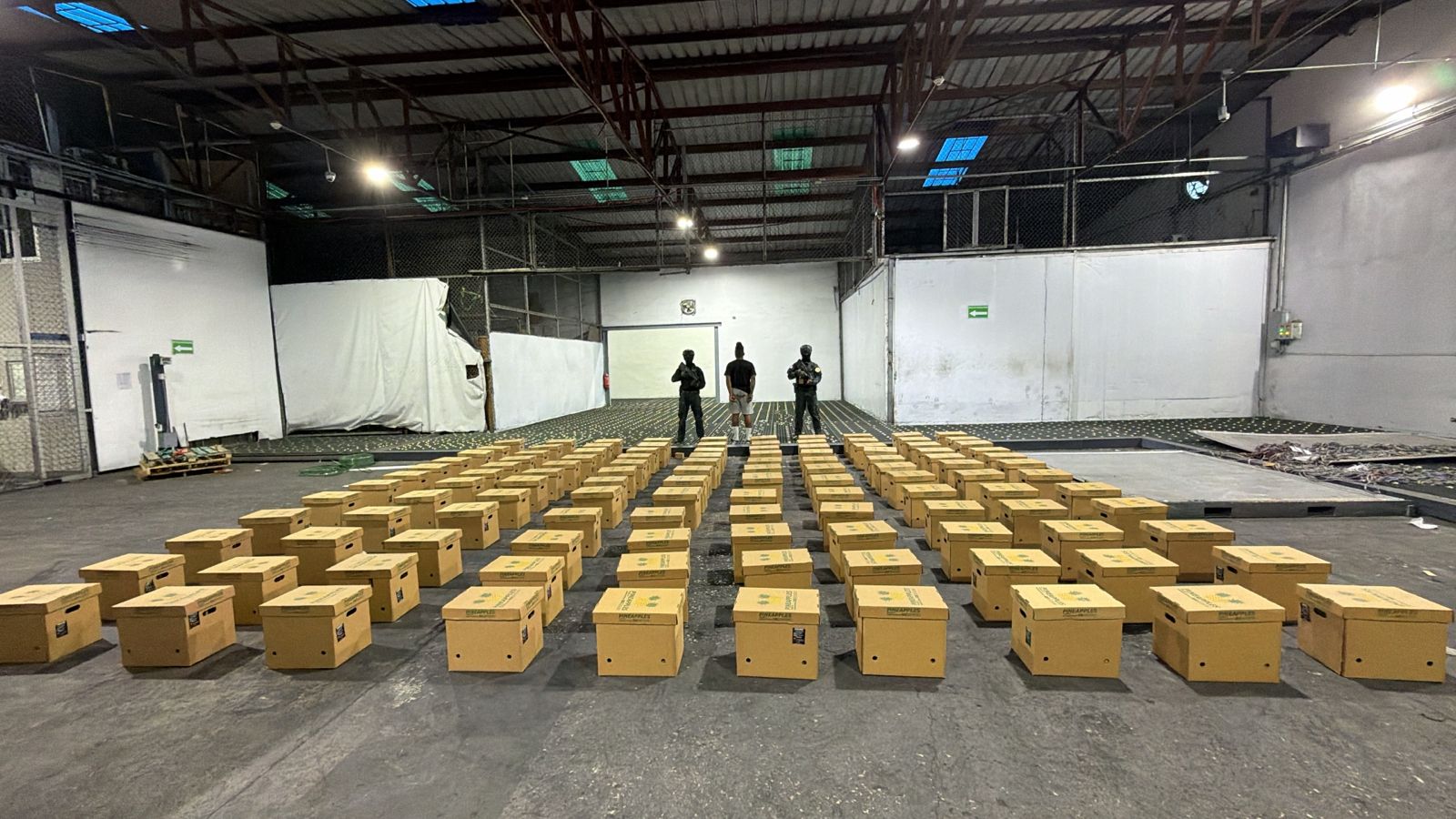 DNCD interviene carga de piñas con 121 láminas de presunta cocaína; arrestan un hombre