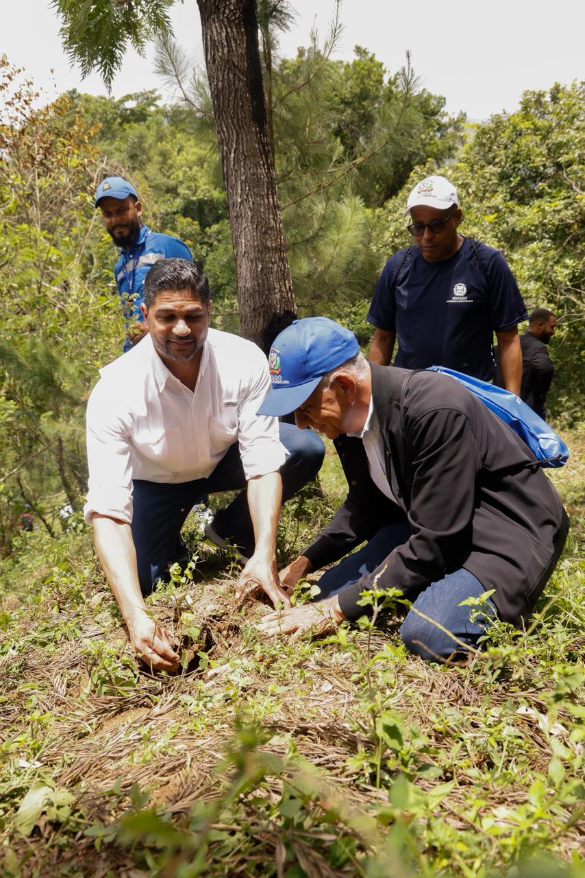 Senado realiza jornada de reforestación en la cuenca alta del río Nizao