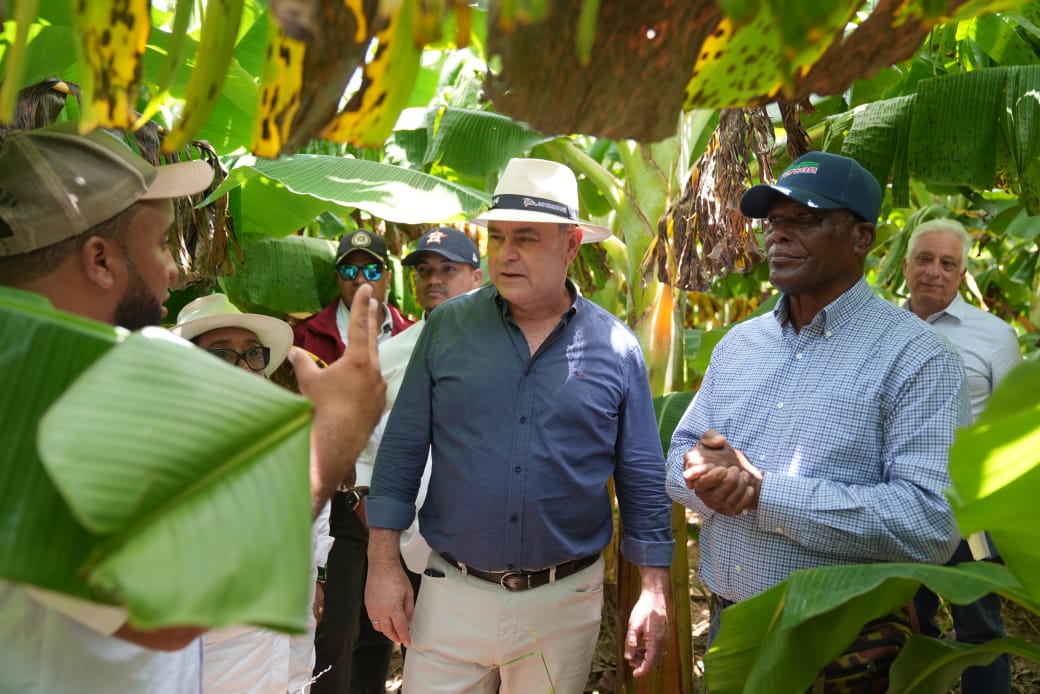 Ministerio de Agricultura inicia protocolo para la reapertura de PRODEVAJ y del Valle de Juancho