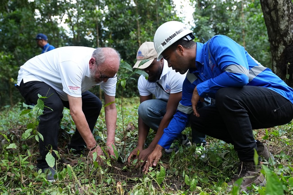 Energía y Minas realiza jornada de reforestación y limpieza en cuencas de ríos de Cotuí
