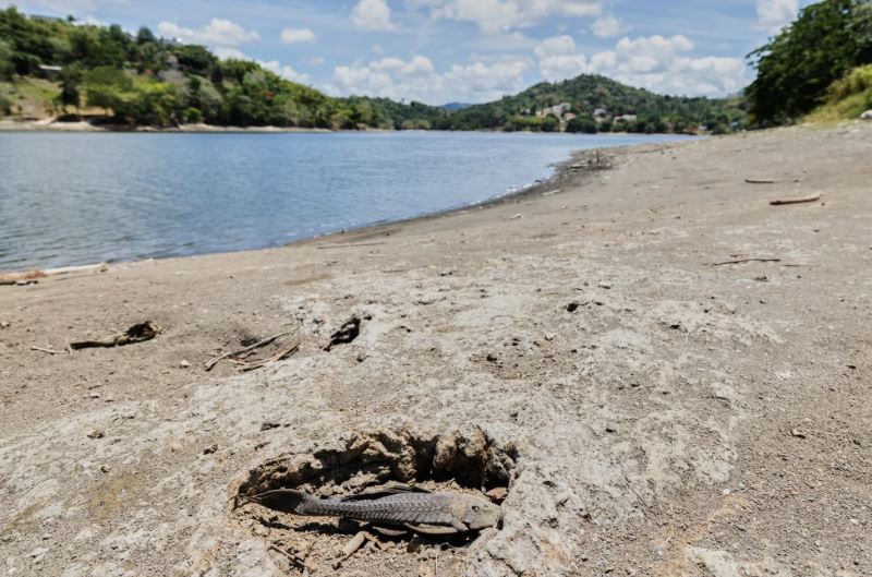 Estados Unidos declara zona de desastre por sequía en algunas partes de Puerto Rico