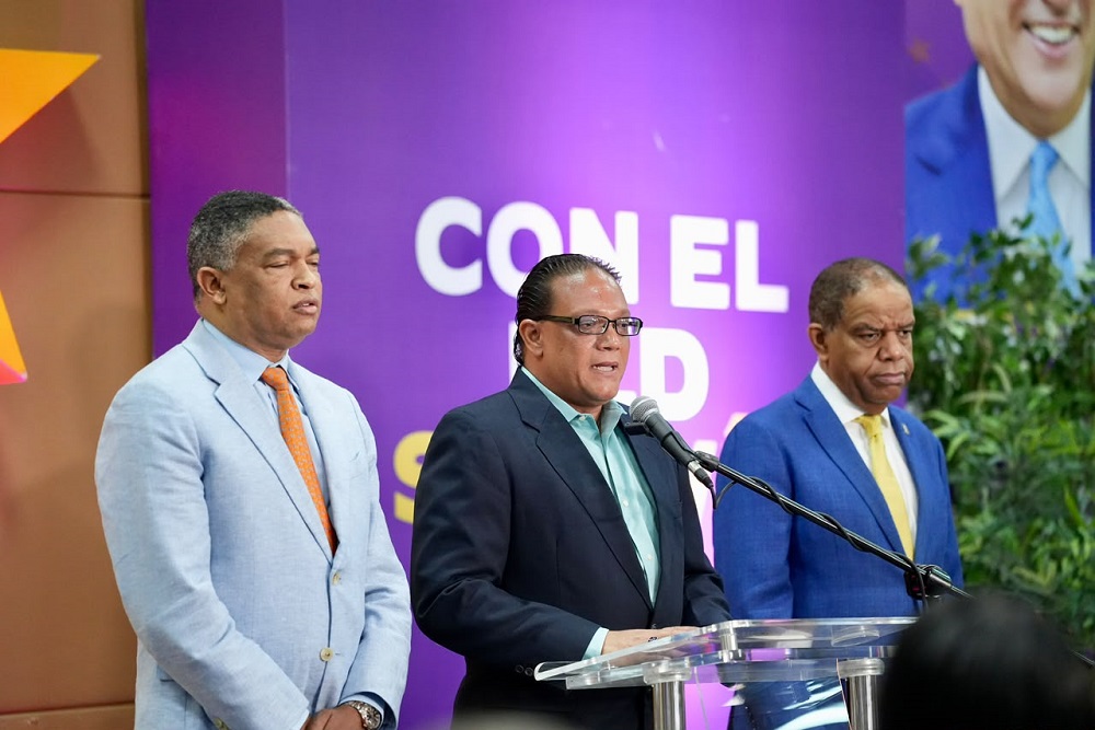 PLD realiza su Consulta en cumplimiento de la ley y de la sentencia del TSE