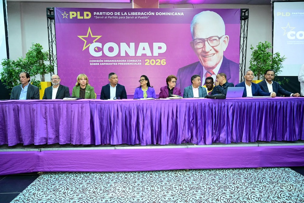 Dirigentes del PLD reciben instrucciones finales para la organización y montajes de la Consulta