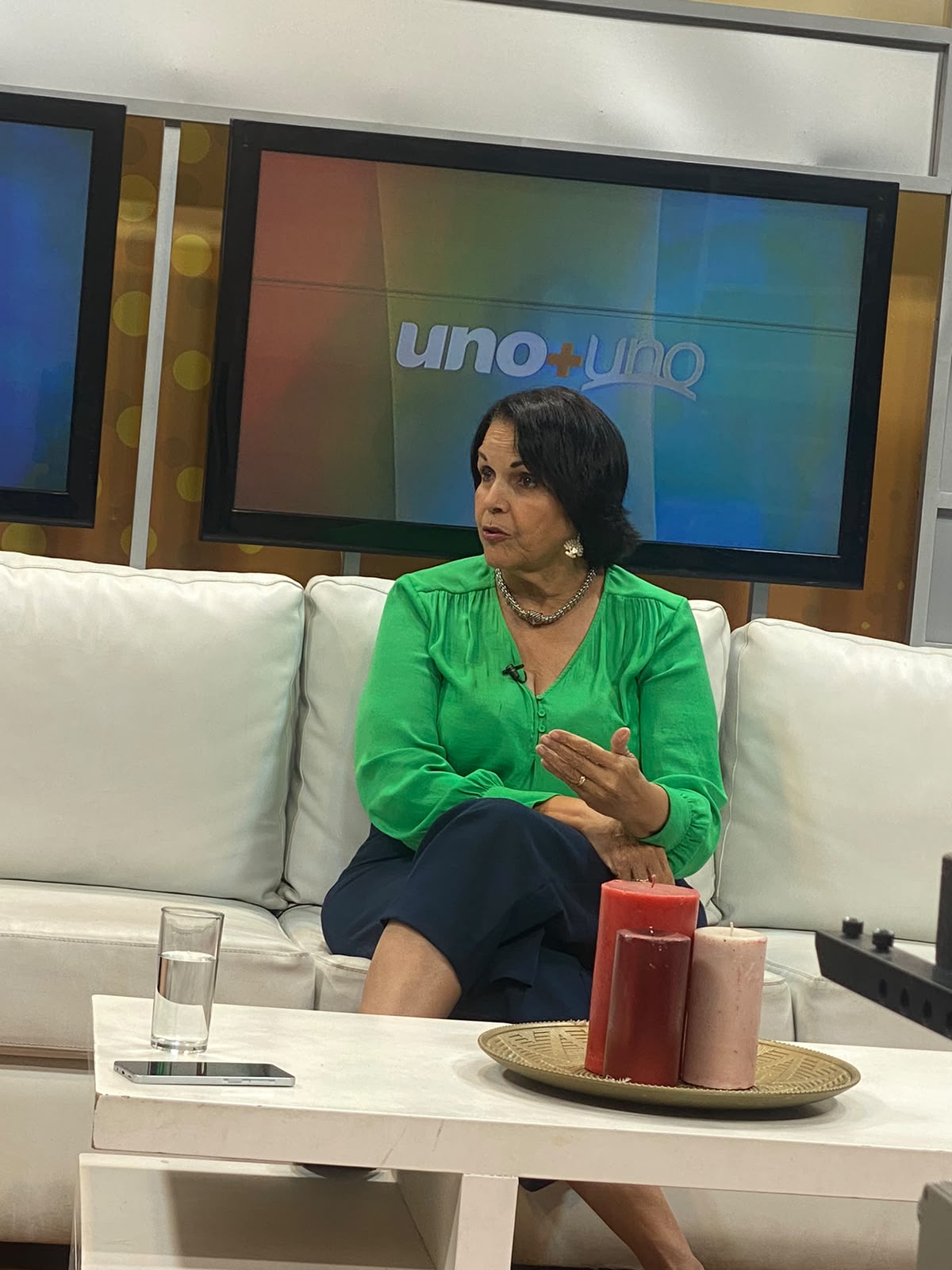 Minou Tavárez: “Las declaraciones de Abinader evidencian el fracaso de la política de seguridad del Gobierno”