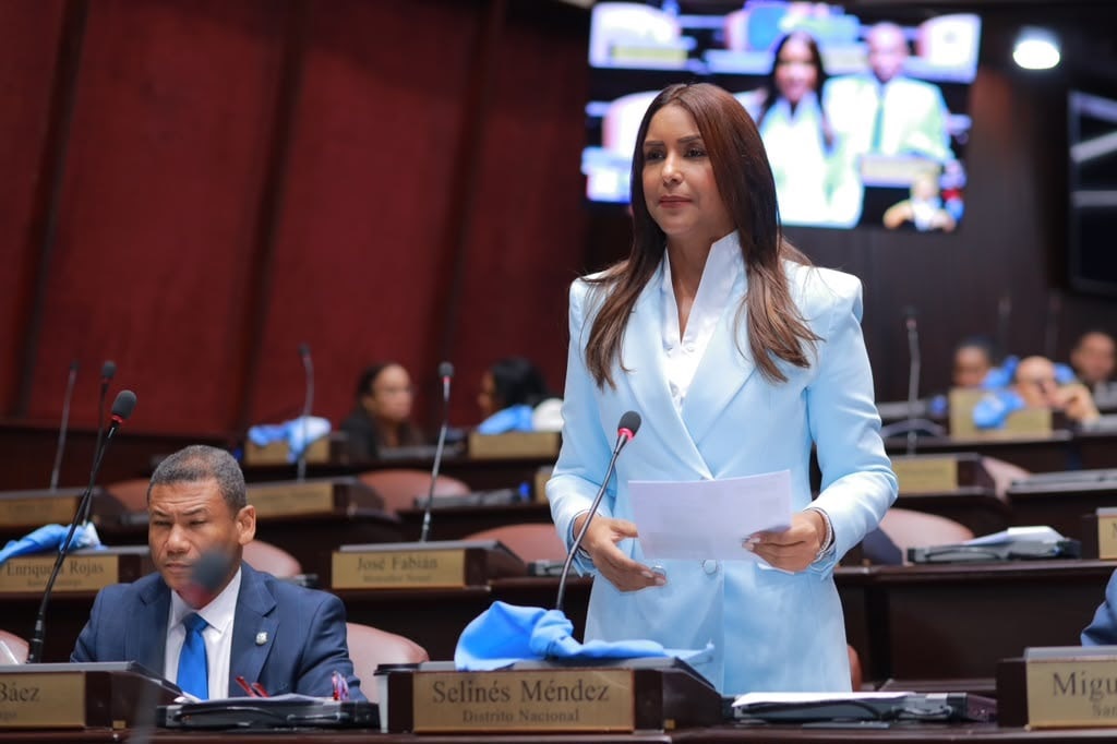 Selinée Méndez exige al MINERD informe sobre planteles pendientes y resultados de su plataforma digital