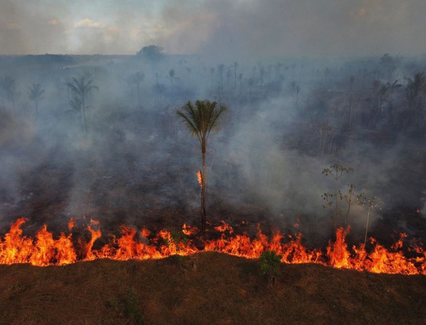 Advierten que avances de la ultraderecha en el Congreso de Brasil amenazan protecciones ambientales